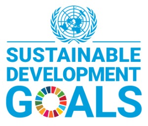 logo sustainable development goals